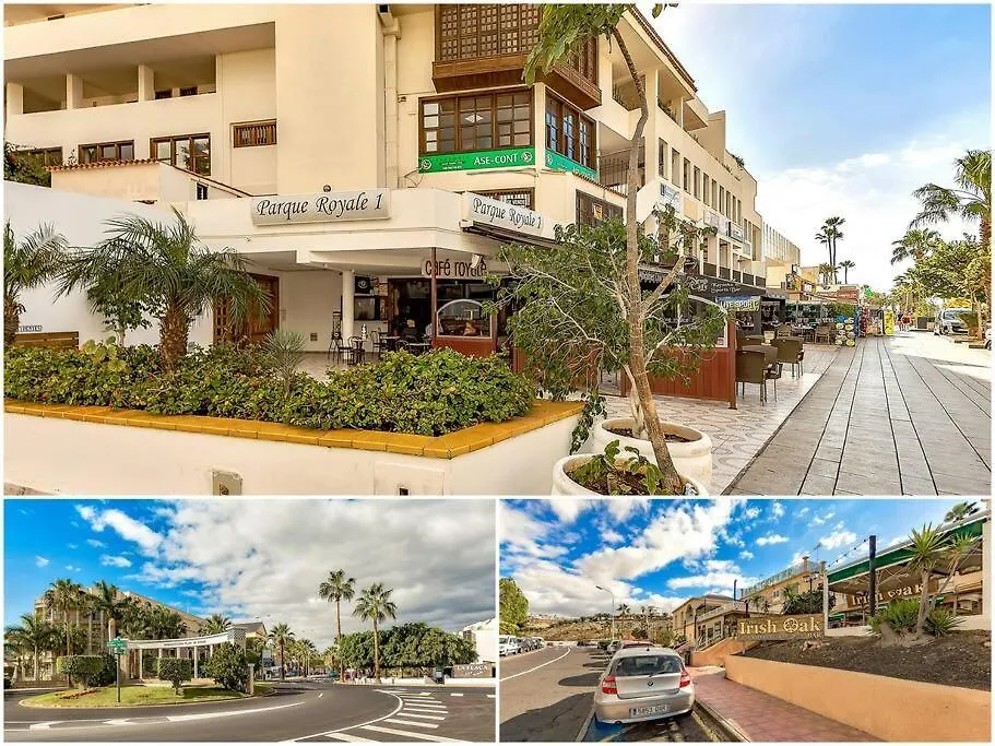 Harmony Apartment With Ocean View In Parque Royal 阿德耶